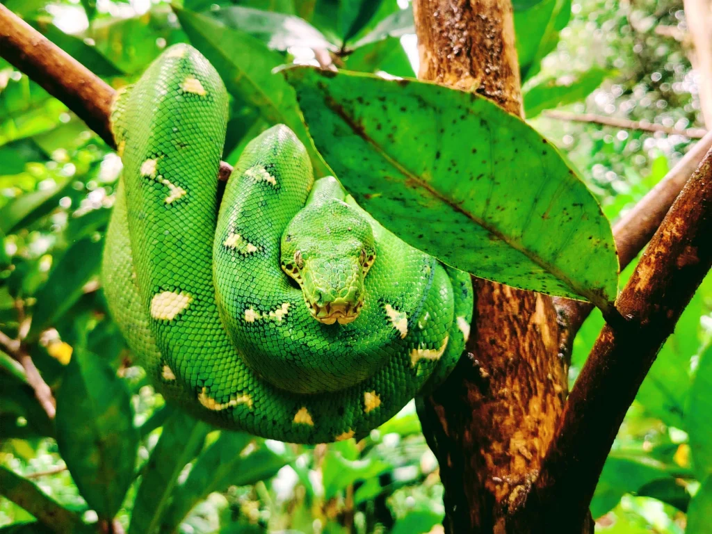Experiencia real durante el trek