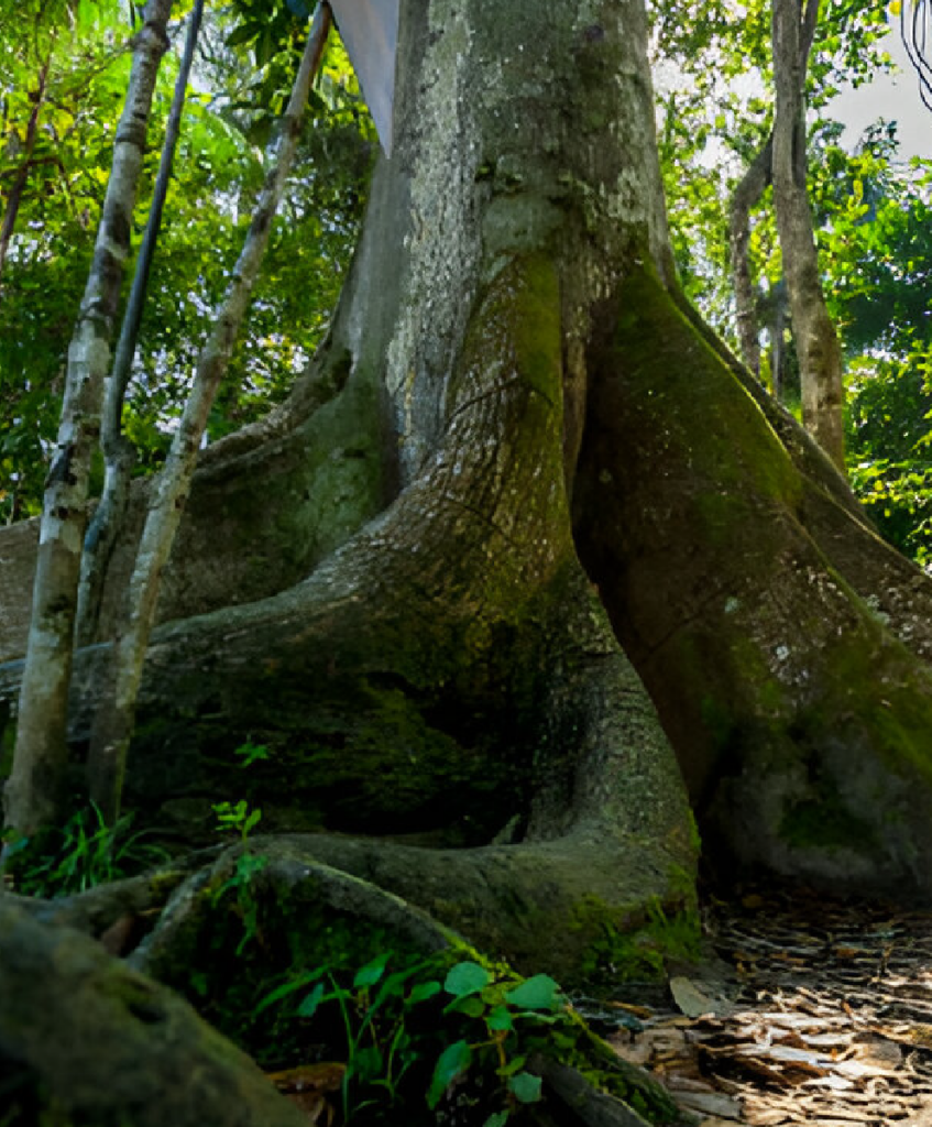 Lares Trek + Camino Inca 4D/3N